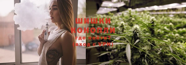 сатива Белокуриха