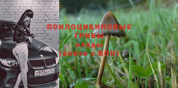 PSILOCYBIN Белоозёрский