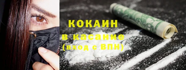 сатива Белокуриха